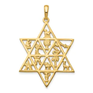 14k Yellow Gold Polished Finish 12 Tribes Star of David Charm Pendant