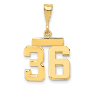 14k yellow gold small polished number 36 charm