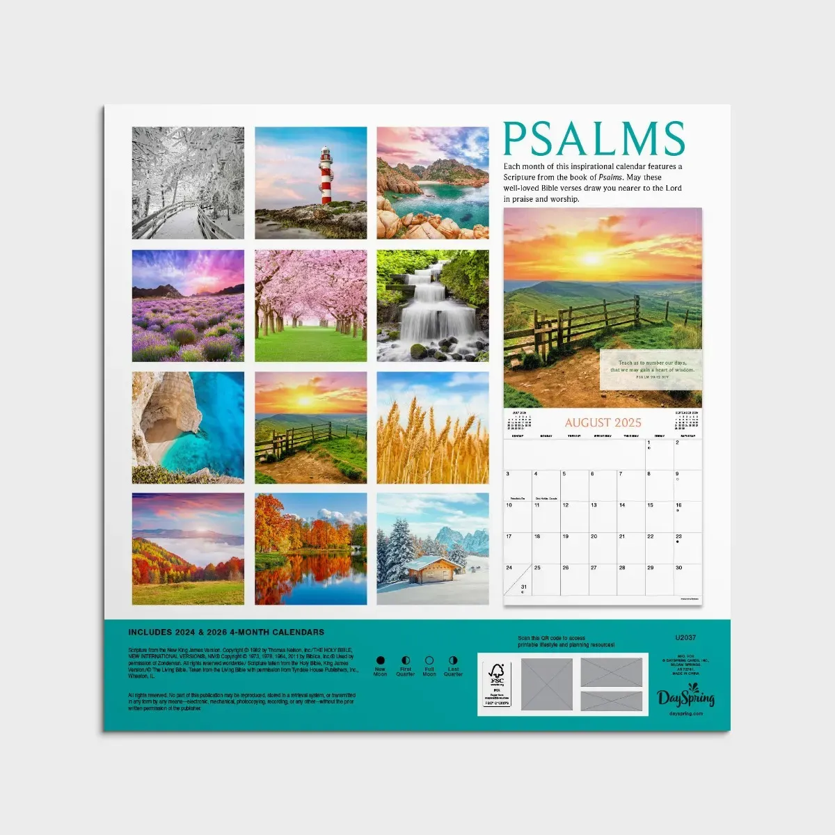 2025 12x12 Wall Calendars <p>See All Designs</p>