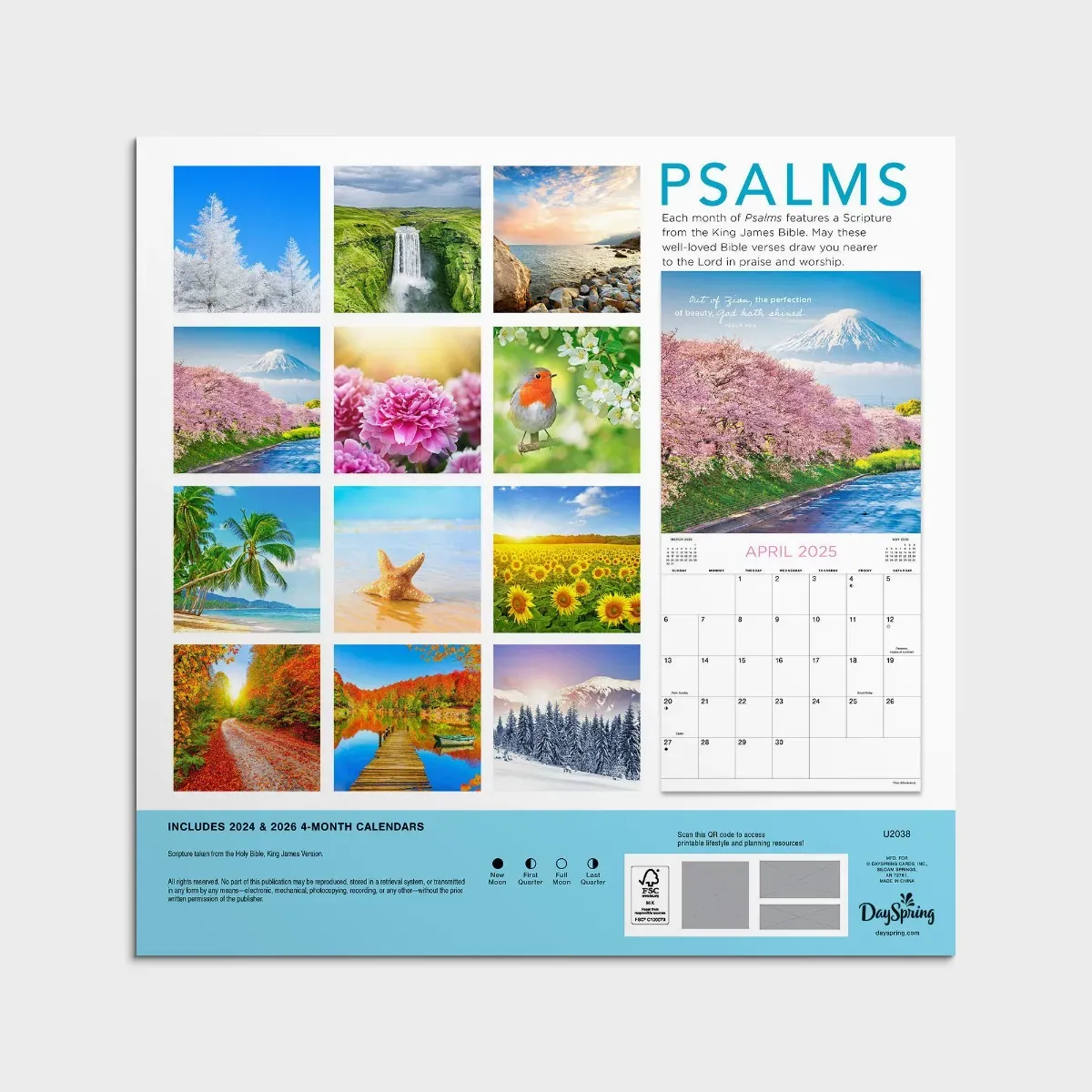 2025 12x12 Wall Calendars <p>See All Designs</p>