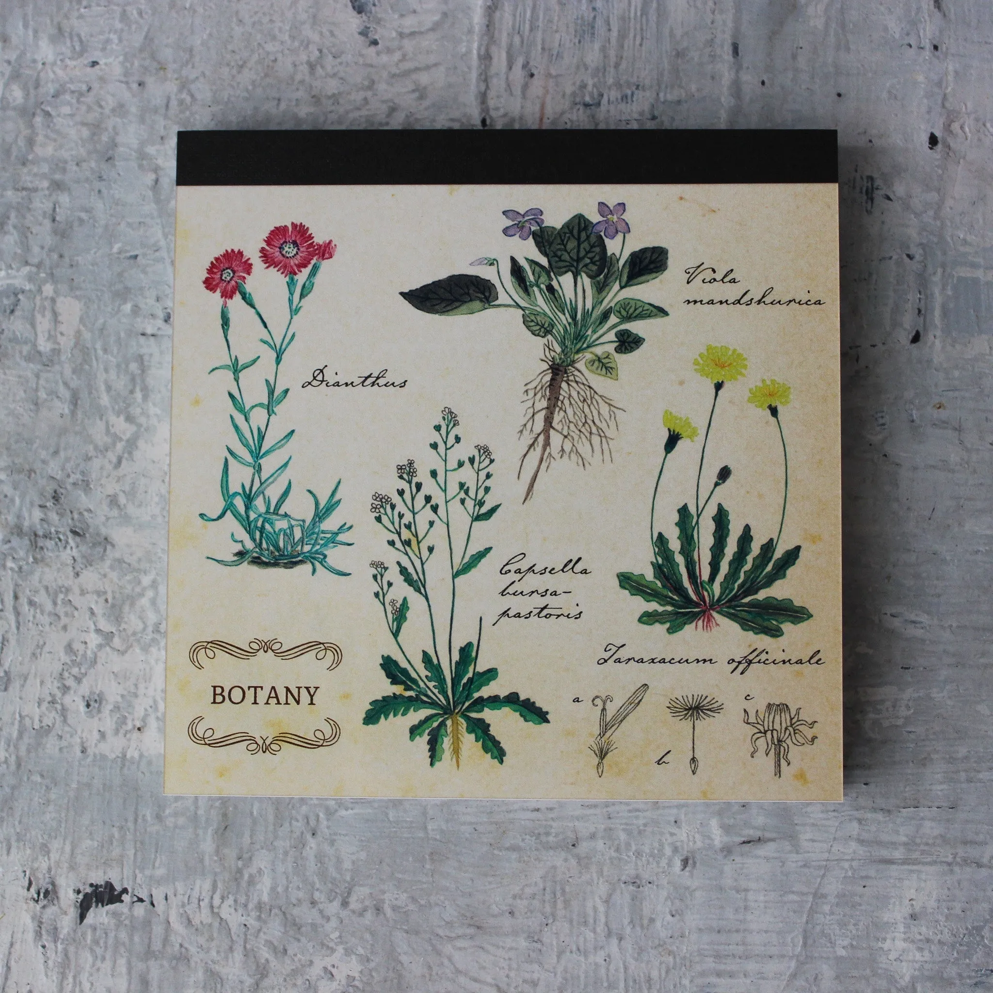 Botany Memo Pad