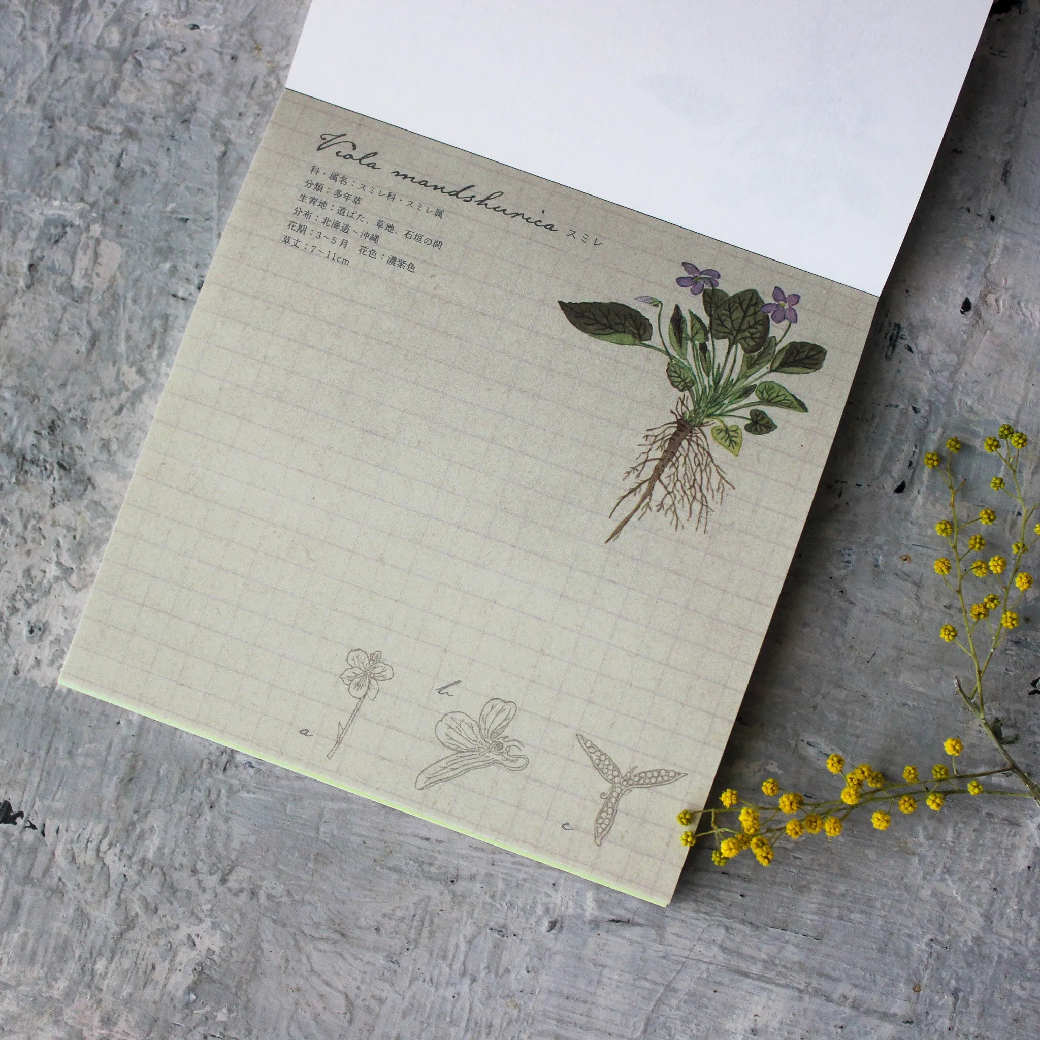 Botany Memo Pad