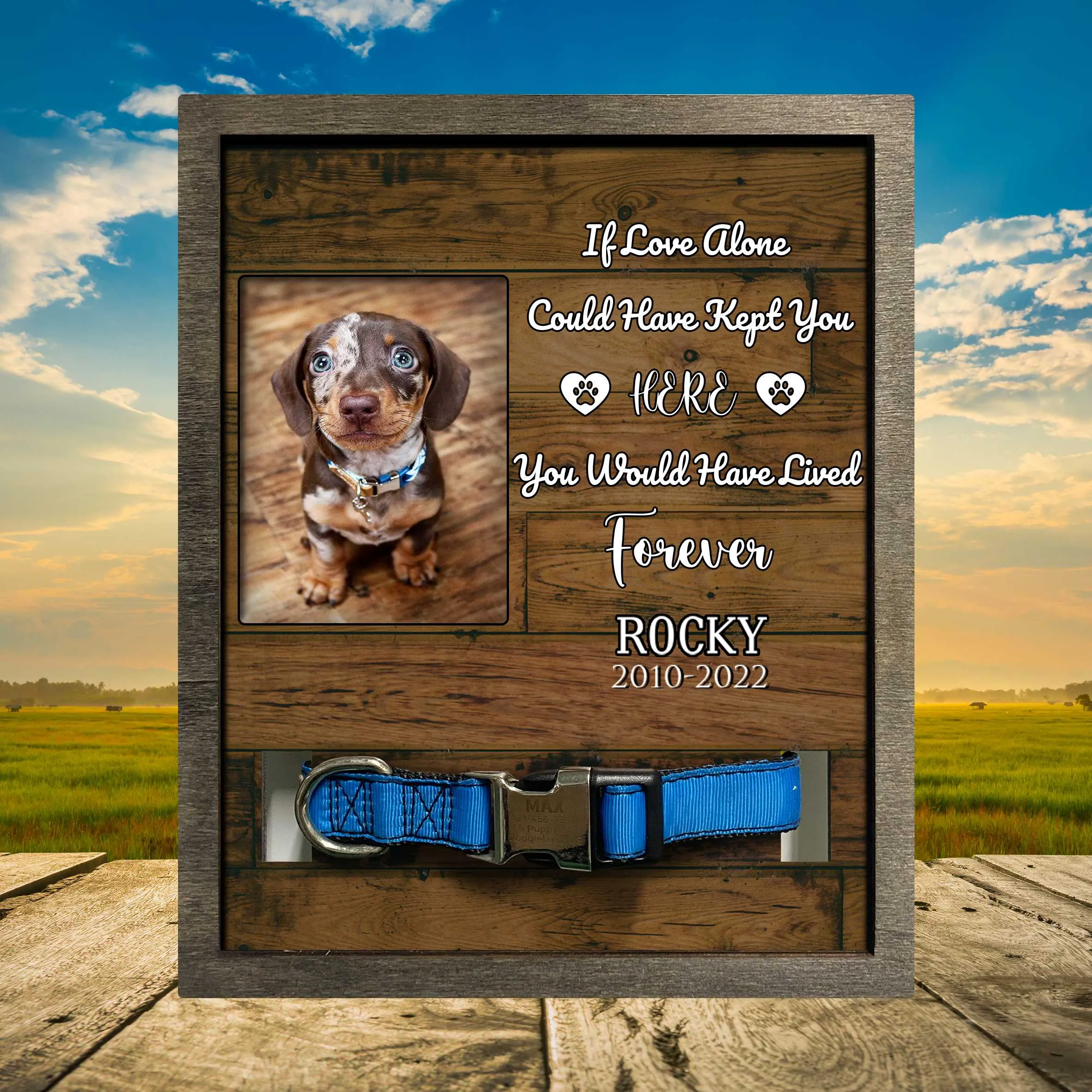 Customized A Photo Lost Of Dachshund, Dog Sympathy Photo Gift, Cat Remembrance, Animal Condolence