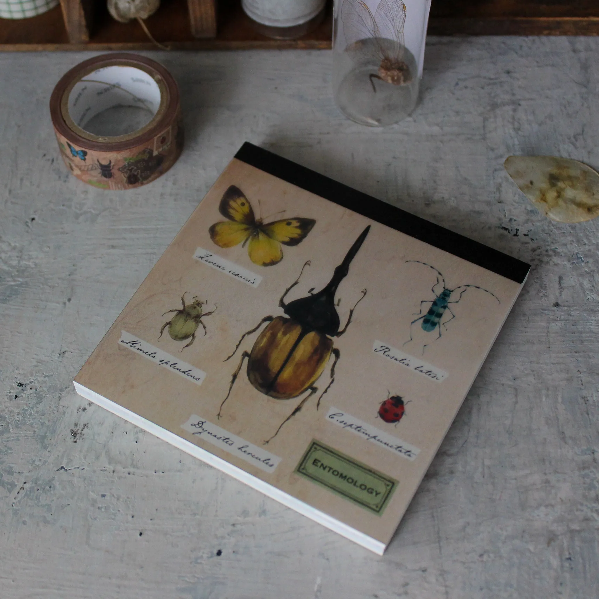 Entomology Stationery