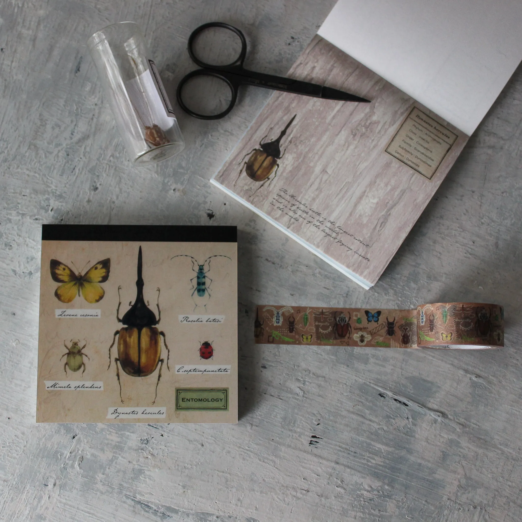 Entomology Stationery