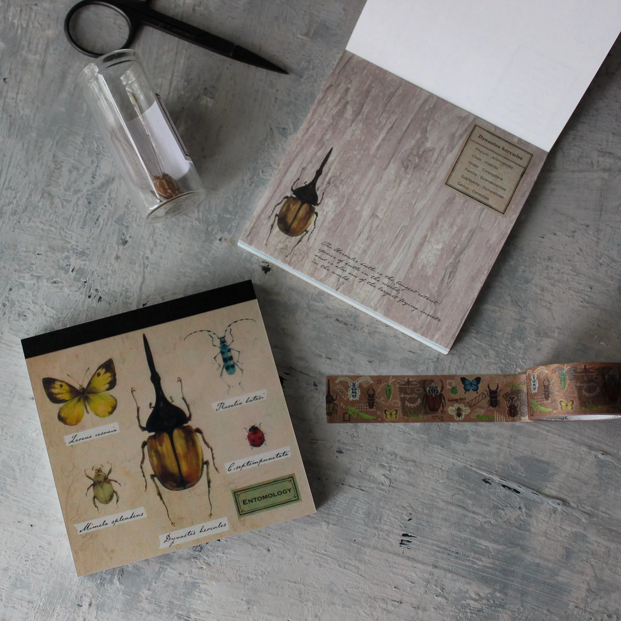 Entomology Stationery